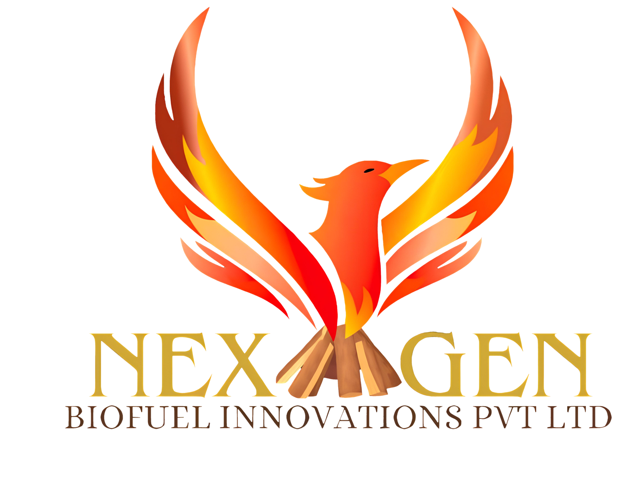 Logo NexGen